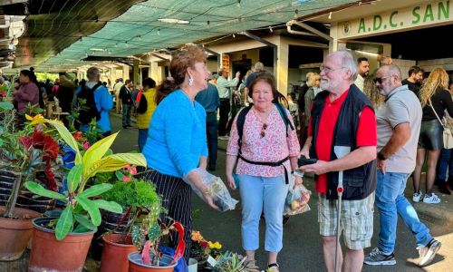 Country Market and Park in Santo da Serra