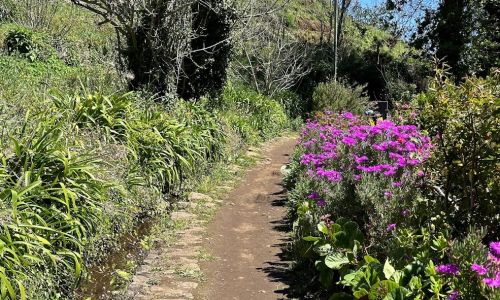 Sendero Vale Paraíso - Rochão