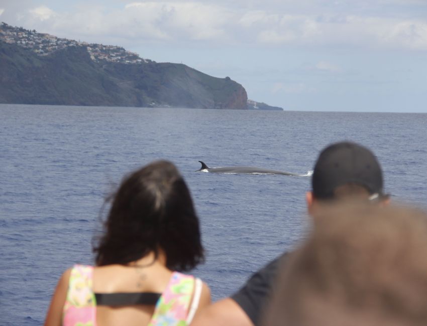 Excursão a Santana, Ilha da Madeira