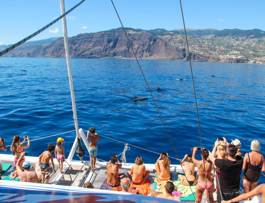 Excursão a Santana, Ilha da Madeira