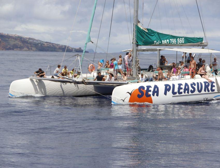 Excursão a Santana na Ilha da Madeira